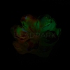 Luminous Resin Cabochons RESI-E033-02F-2