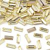 Preciosa® MAXIMA Crystal Fancy Stones X-PRC-FB4-80100-1