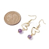 Natural Mixed Gemstone Dangle Earrings EJEW-JE05658-3