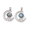 Natural Labradorite Pendants KK-A173-18P-02-3