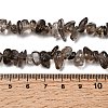 Natural Smoky Quartz Chips Beads Strands F037-5