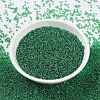 MIYUKI Round Rocailles Beads SEED-X0056-RR0173-2