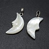 Shell Pendants SSHEL-E564-14P-2
