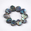Abalone Shell/Paua Shell Beads X-SSHEL-T008-04-1