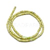 Natural Yellow Turquoise(Jasper) Beads Strand G-A177-01S-03-2