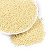 11/0 FGB Grade A Baking Paint Glass Seed Beads X-SEED-N001-A-1034-2
