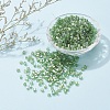 6/0 Glass Seed Beads SEED-YW0001-25B-6