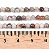 Natural Mexican Agate Beads Strands G-G345-B01-3mm-5