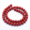 Sea Shell and Synthetic Turquoise Assembled Beads Strands G-G758-11-8mm-2