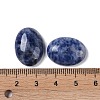 Natural Blue Spot Jasper Cabochons G-B080-01A-02-3