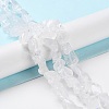 Raw Rough Natural Crystal Quartz Beads Strands G-B065-C12-2