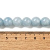 Dyed Natural Malaysia Jade Beads Strands G-G021-02C-20-3