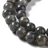 Natural Labradorite Beads Strands G-S333-6mm-035-3