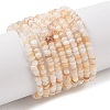 Natural Freshwater Shell Beads Strands SHEL-P017-01A-10-1
