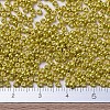 MIYUKI Round Rocailles Beads X-SEED-G007-RR1071-2