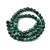 Natural Malachite Beads Strands G-H336-A07-02-3