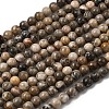 Natural Fossil Coral Beads Strands G-G212-6mm-31-2