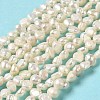 Natural Keshi Pearl Beads Strands PEAR-E017-27-2