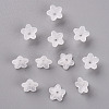 Transparent Acrylic Beads PL554-3