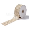 10 Yards Polyester Lace Trim Ribbon OCOR-C004-06I-1