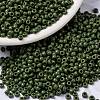 MIYUKI Round Rocailles Beads X-SEED-G008-RR0501-1