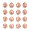 Golden Plated Alloy Enamel Charms ENAM-S118-07H-2