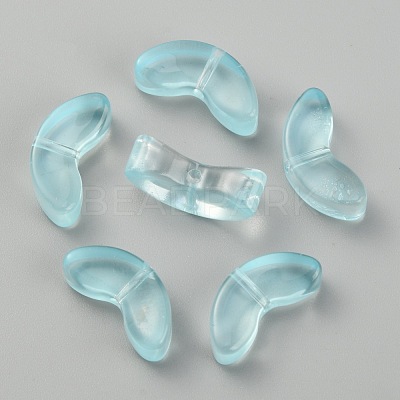 Transparent Handmade Lampwork Beads LAMP-CJC0012-01G-1