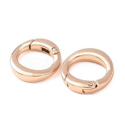 Alloy Spring Ring Clasps AL-B004-01KCG-A-1