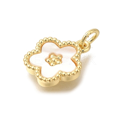 Brass Shell Pendants X-KK-R002-12G-1