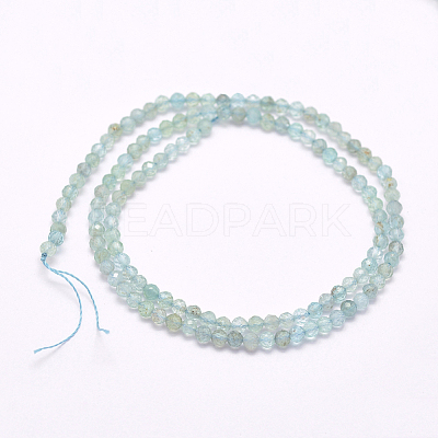 Natural Apatite Beads Strands G-I156-05-2mm-1