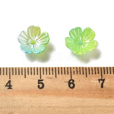 Gradient Color Acrylic Bead Caps OACR-Z028-01C-1