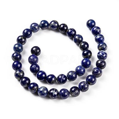 Natural Lapis Lazuli Round Beads Strands X-G-I181-09-10mm-1