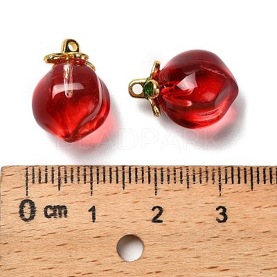 Glass Pendants GLAA-P072-05G-04-1
