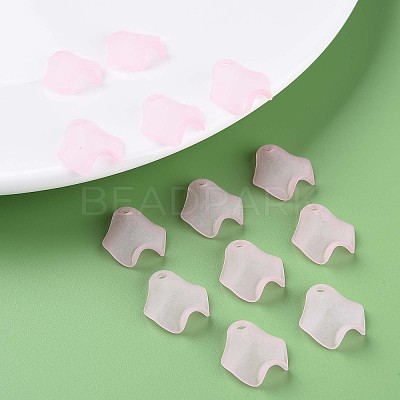 Transparent Acrylic Beads MACR-S373-106-D05-1