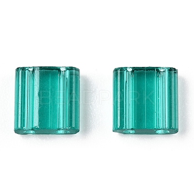 2-Hole Glass Seed Beads SEED-T003-01C-09-1