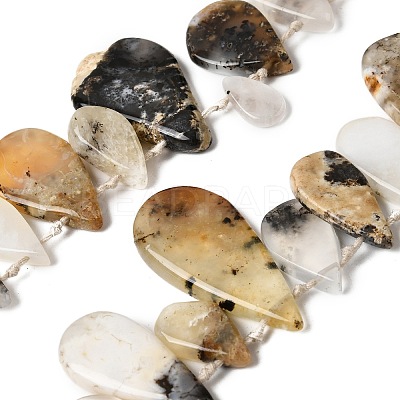 Natural African Opal Beads Strands G-D365-B01-1