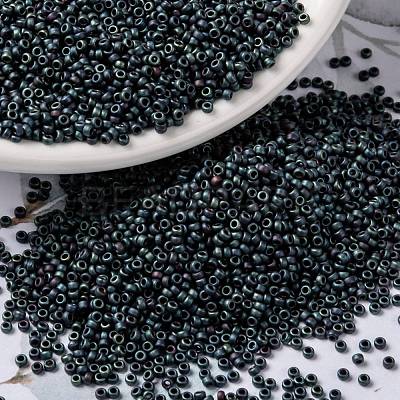MIYUKI Round Rocailles Beads SEED-X0056-RR2009-1