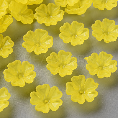 Transparent Frosted Acrylic Bead Caps MACR-S371-04A-717-1