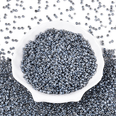 Glass Seed Beads SEED-A011-3mm-149-1
