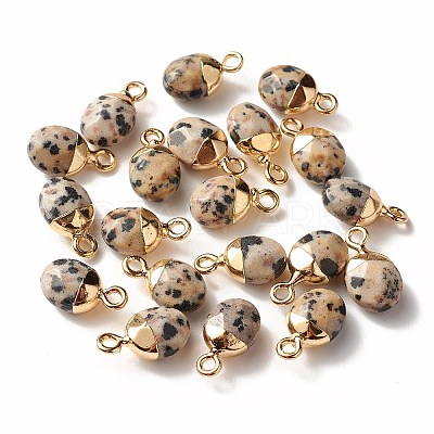 Electroplate Natural Dalmatian Jasper Charms G-S344-09C-1