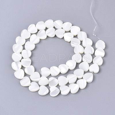 Natural Trochid Shell/Trochus Shell Bead Strands SSHEL-N034-67-1