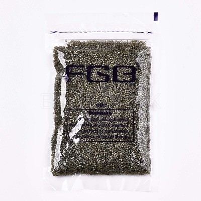 FGB 11/0 Grade A Glass Seed Beads SEED-S030-1148-1