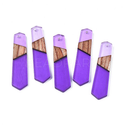 Resin & Walnut Wood Pendants RESI-N025-020-C03-1
