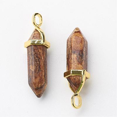 Natural Picture Jasper Double Terminated Pointed Pendants G-G902-B12-1