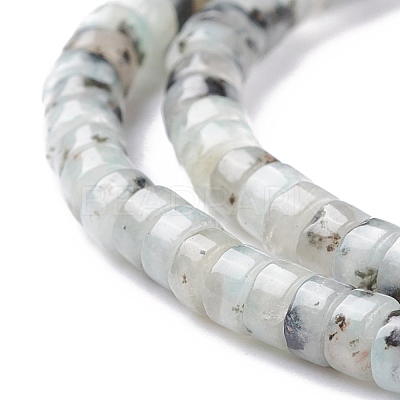 Natural Sesame Jasper/Kiwi Jasper Beads Strands G-F631-A48-1