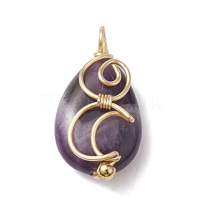 Natural Amethyst Copper Wire Wrapped Pendants PALLOY-JF02598-02-1
