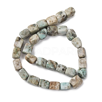 Natural Chrysocolla and Lapis Lazuli Beads Strands G-D098-D12-1