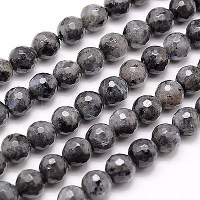 Natural Larvikite Beads Strands G-G736-01-6mm-1