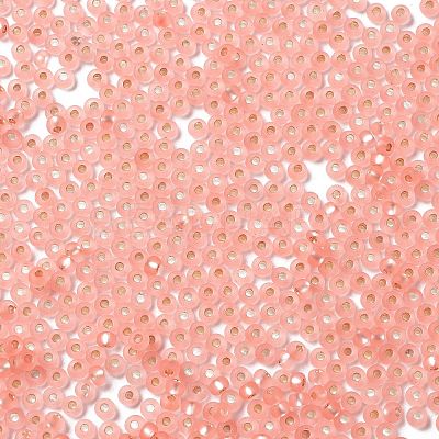8/0 Glass Seed Beads SEED-Z001-C-E07-1