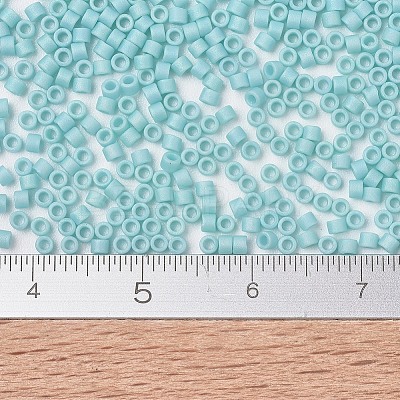 MIYUKI Delica Beads Small X-SEED-J020-DBS1595-1